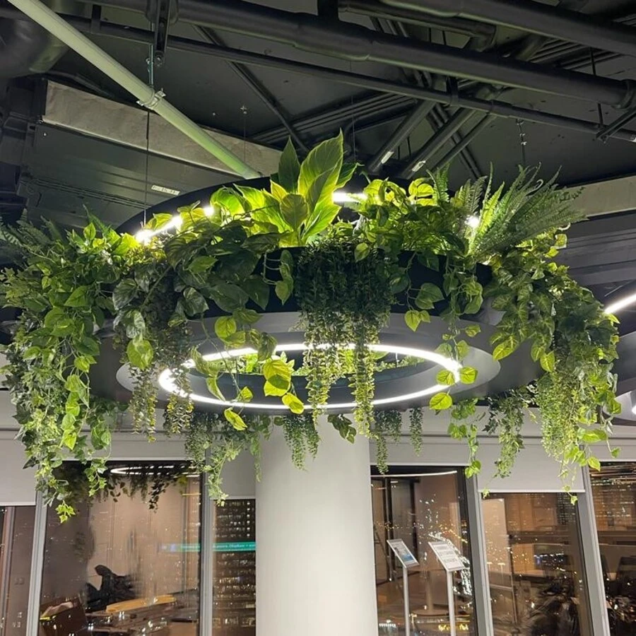 КАШПО MAXPLANTER SEOUL (СЕУЛ) АРТ. SE-3110