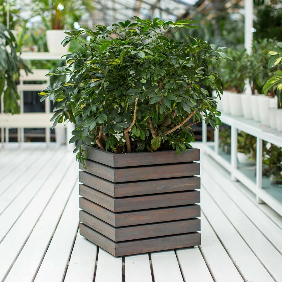 КАШПО MAXPLANTER PARIS (ПАРИЖ) АРТ. PS-1810-1