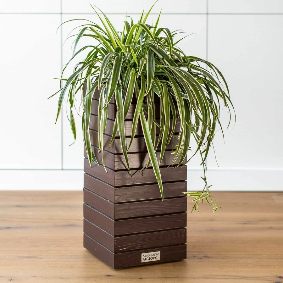 КАШПО MAXPLANTER PARIS (ПАРИЖ) АРТ. PS-1910-1