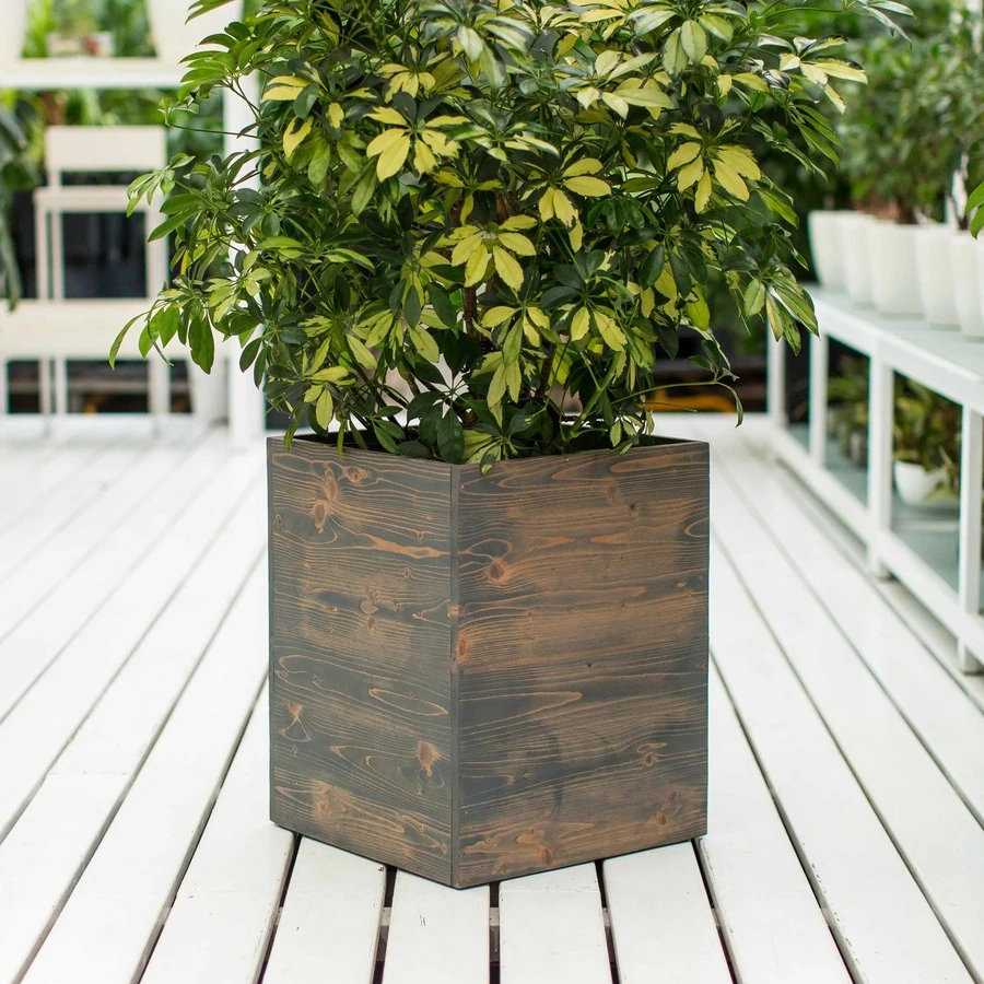 КАШПО MAXPLANTER SIDNEY (СИДНЕЙ) АРТ. SD-1900
