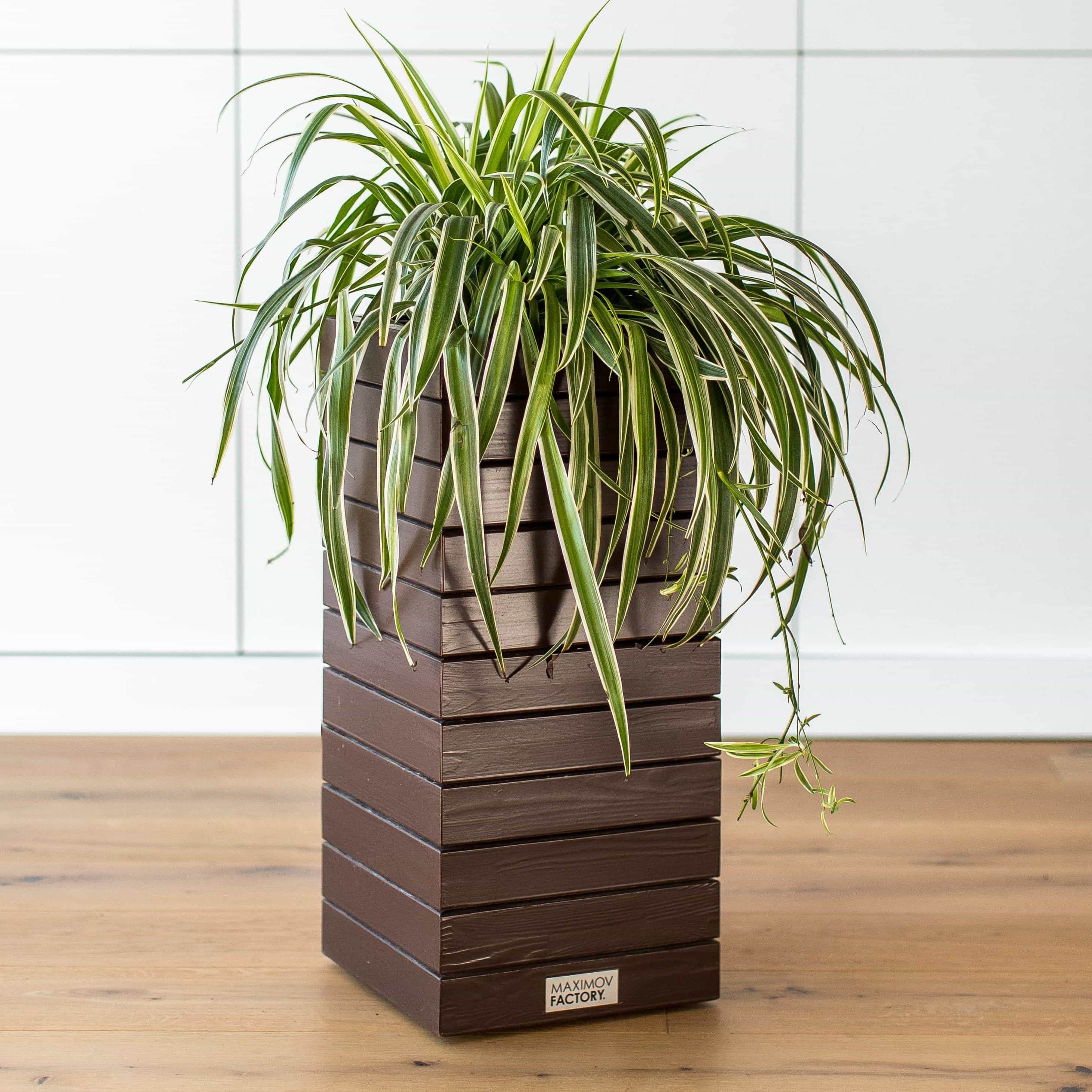 КАШПО MAXPLANTER PARIS (ПАРИЖ) АРТ. PS-1910
