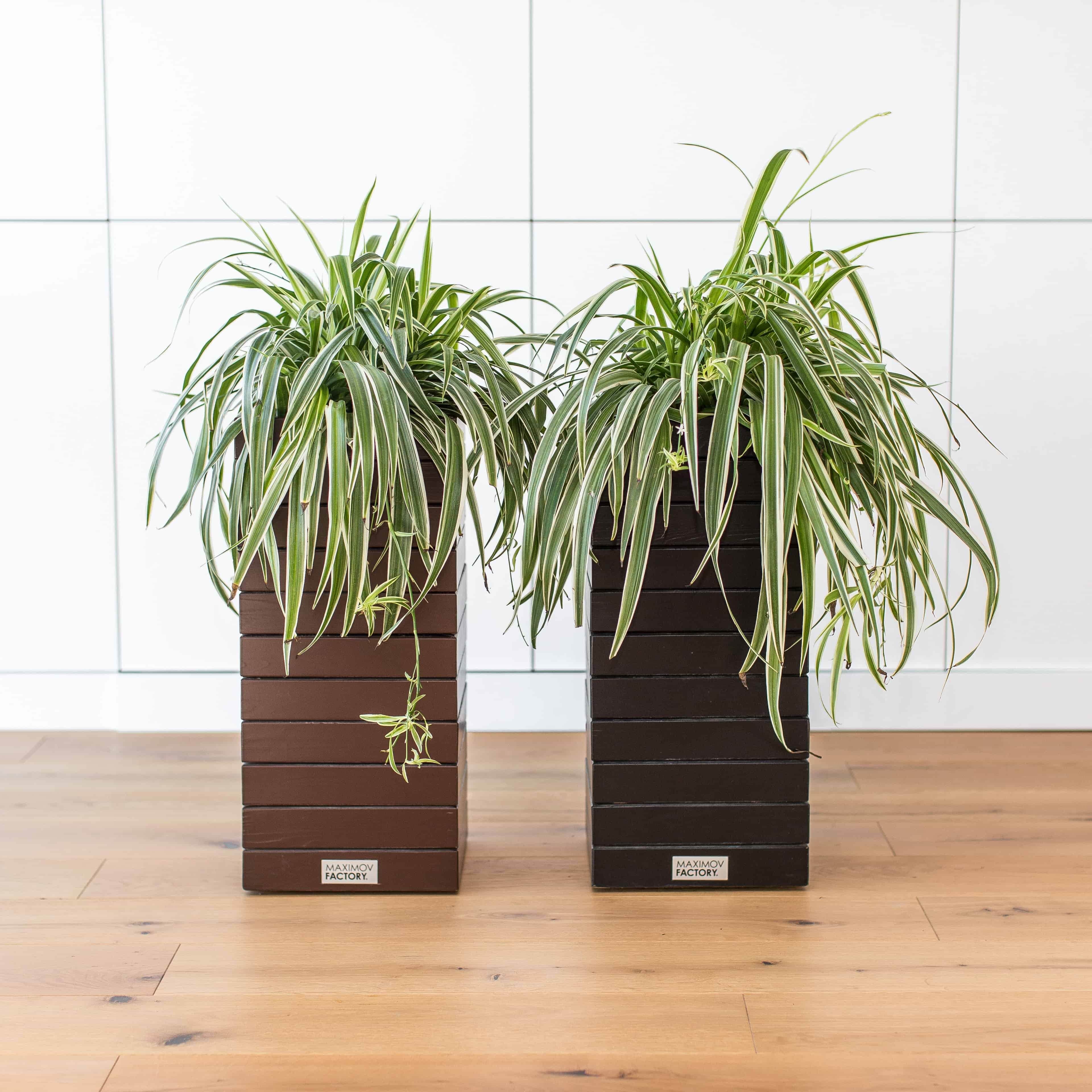 КАШПО MAXPLANTER PARIS (ПАРИЖ) АРТ. PS-1910