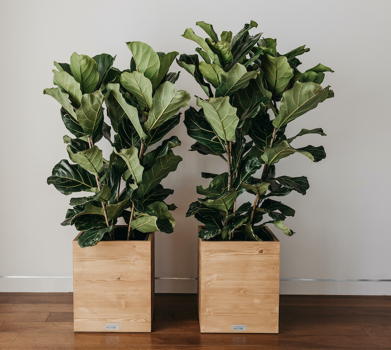 Кашпо MAXPLANTER для интерьера